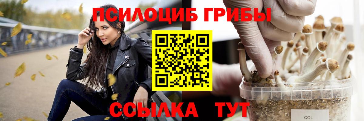 Псилоцибиновые грибы Cubensis Азнакаево